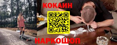 мет Кингисепп