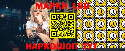 мет Кингисепп