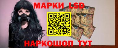 мет Кингисепп