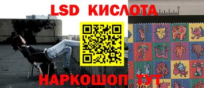 мет Кингисепп