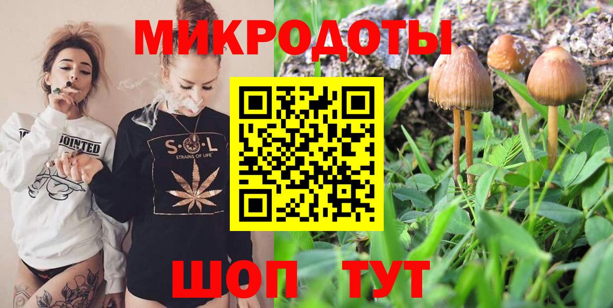 Псилоцибиновые грибы Cubensis  Вход с VPN  Котовск 