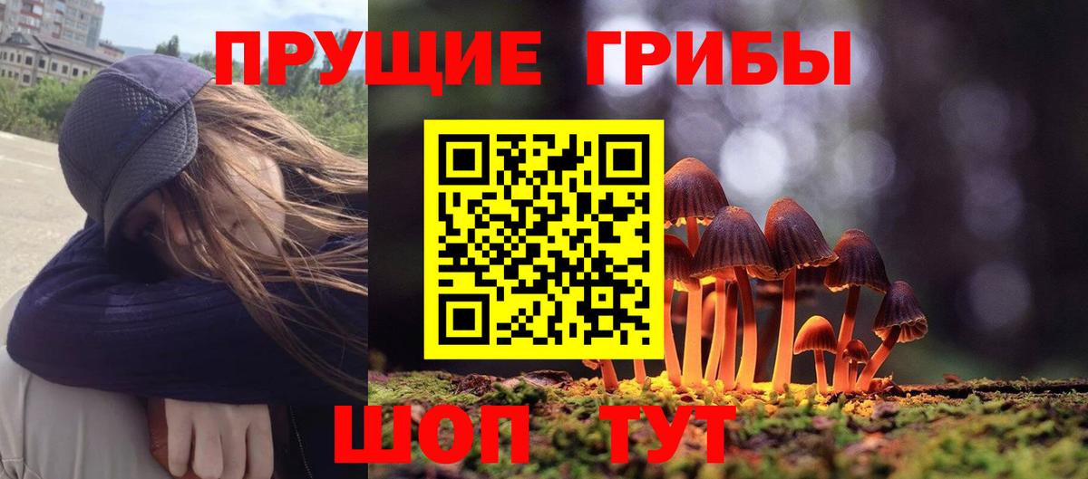 Галлюциногенные грибы прущие грибы Котовск